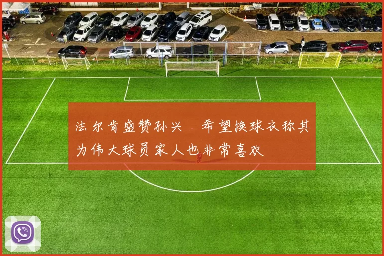 法尔肯盛赞孙兴慜希望换球衣称其为伟大球员家人也非常喜欢